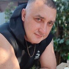 Лев, 44