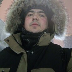 Лев, 33