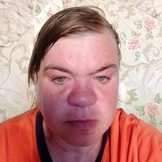 Алиса, 40