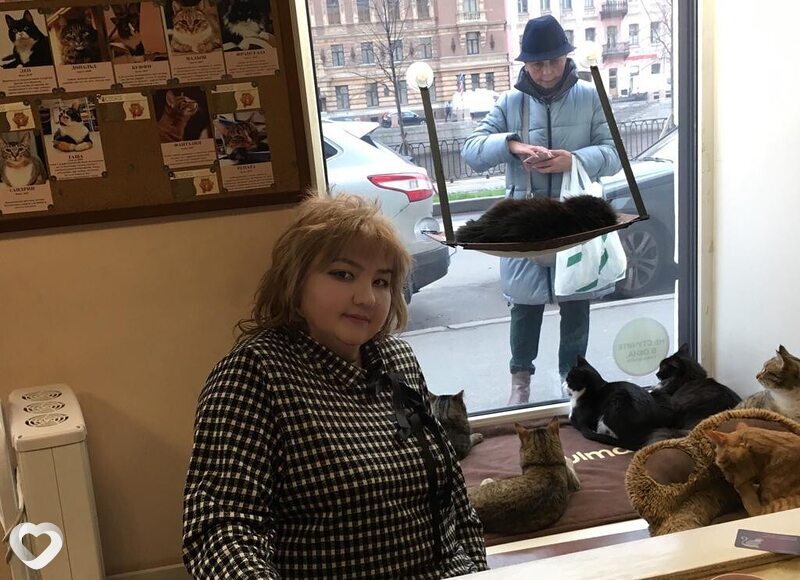 Тома