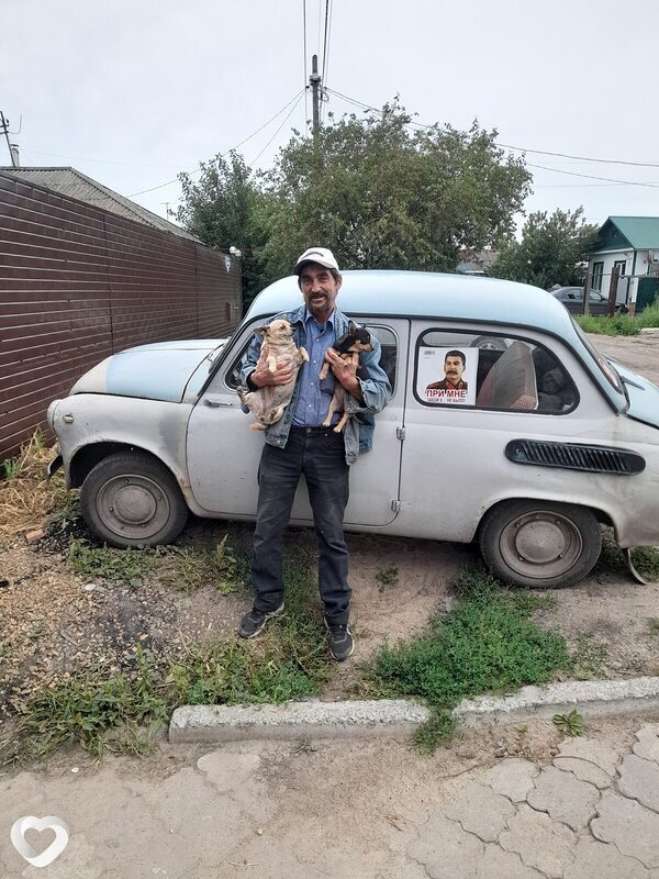 Миша