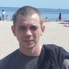 Лев, 42