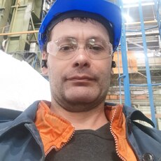Лев, 44
