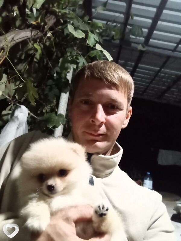 Донат
