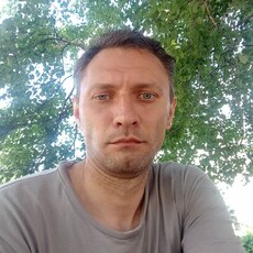 Всеволод