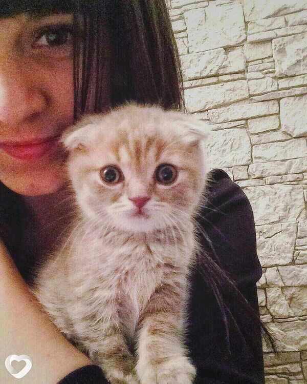Эвелина