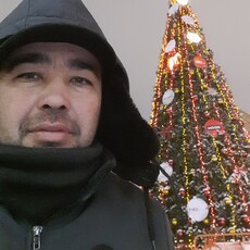 Платоша