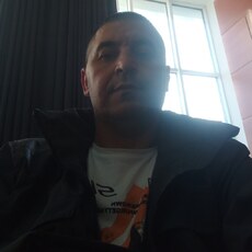 Лев, 41