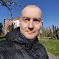 Давид, 43