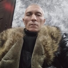 Лев, 51