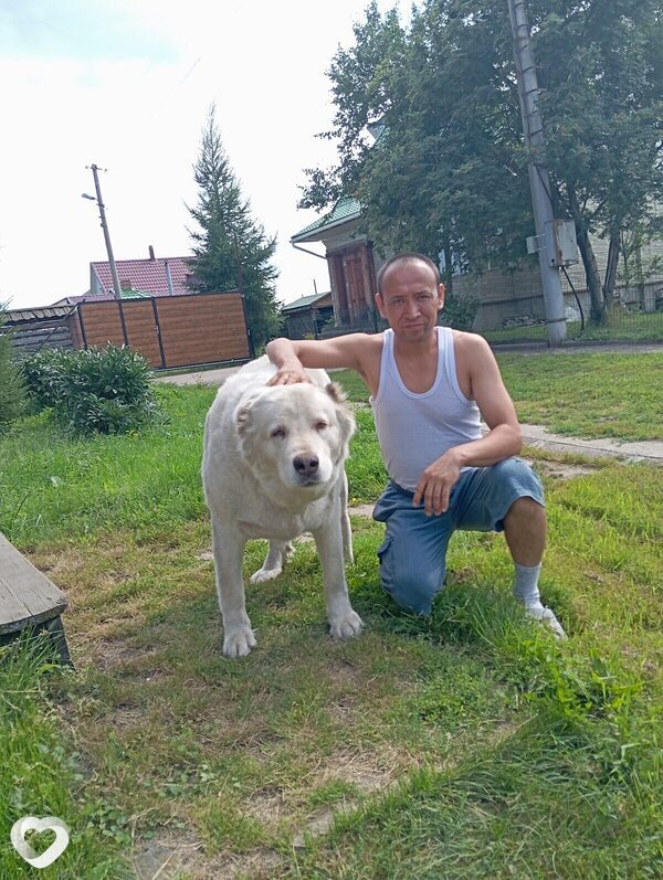Артёмий