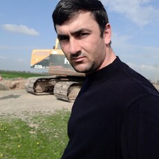 Лев, 38
