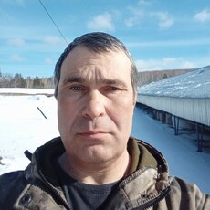 Лев, 53