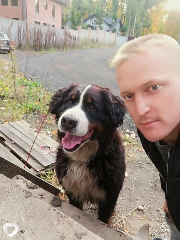 Лев
