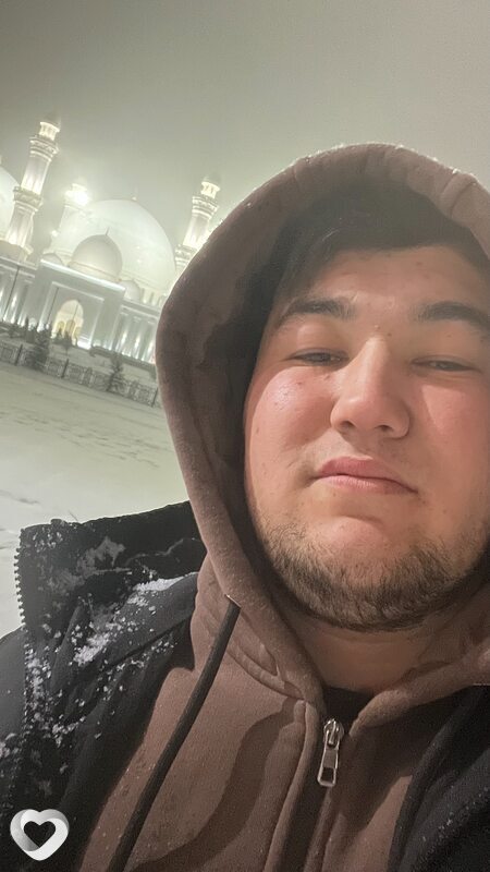 Альбик
