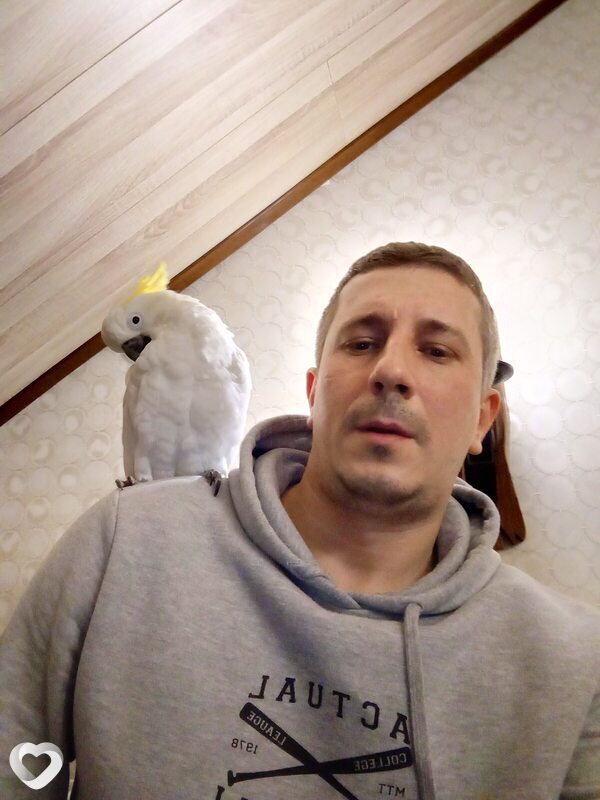 Арсений