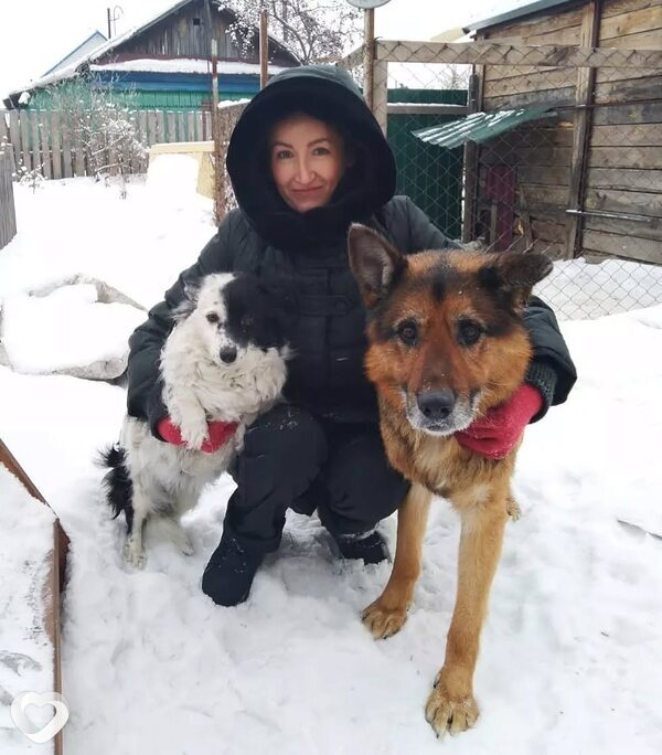Лиза