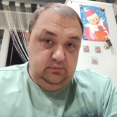 Лев, 41