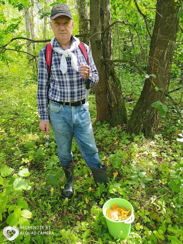 Давидик