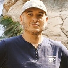 Лев, 42