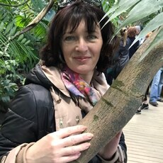 Лина, 45
