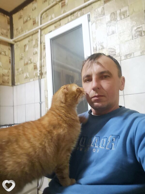 Лев