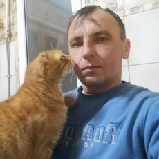 Лев, 46