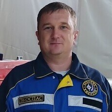 Лев, 37
