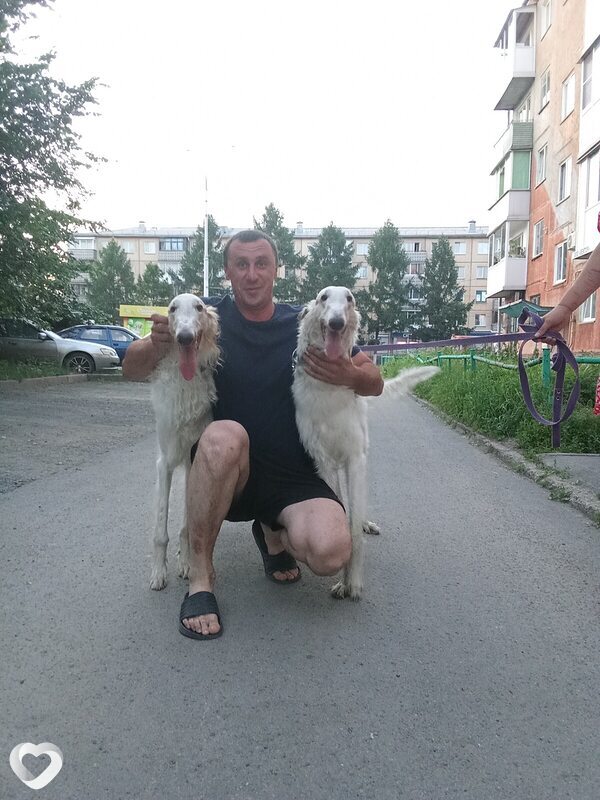 Вениамин