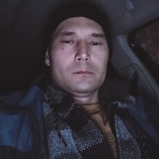 Лев, 40