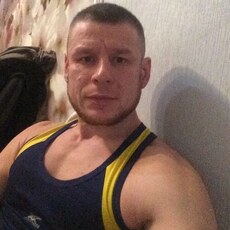 Лев, 40