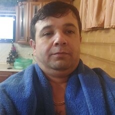 Лев, 41