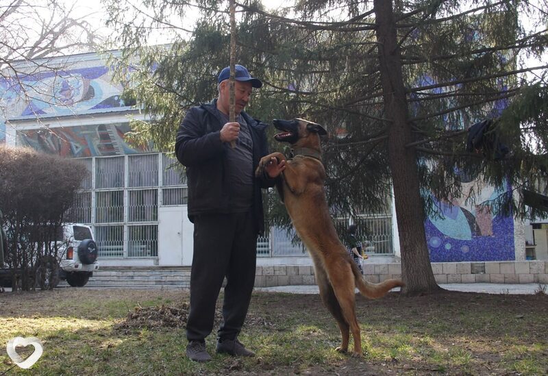 Кир