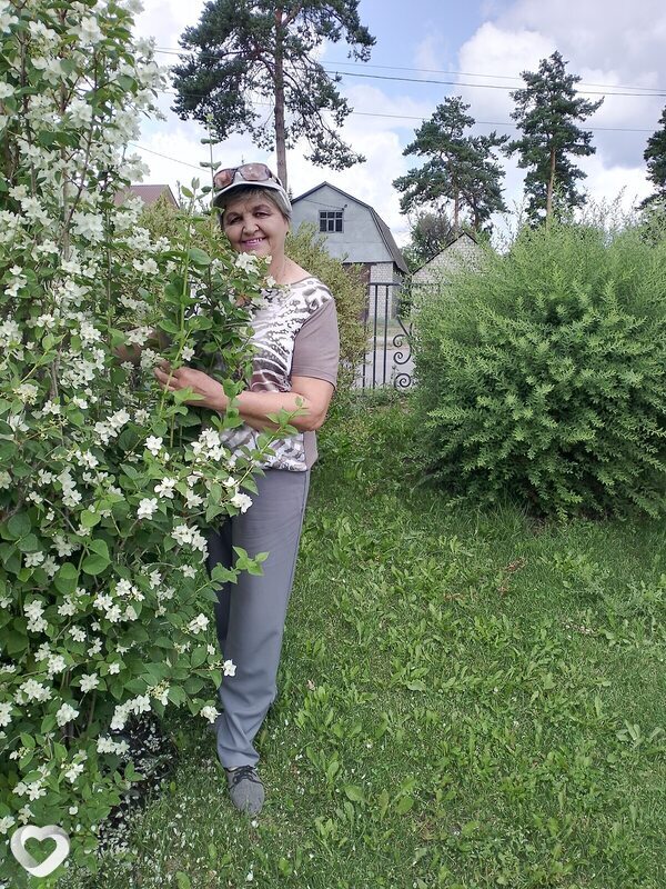 Нэса