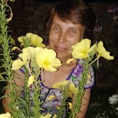 Тома, 52