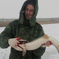 Трофим