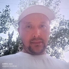 Лев, 41