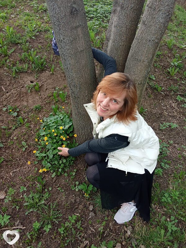 Васса