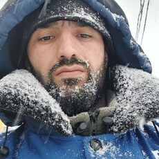 Альберт, 28