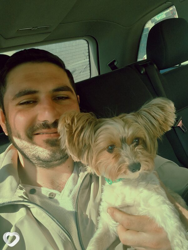 Альберт