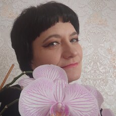 Алиса, 52