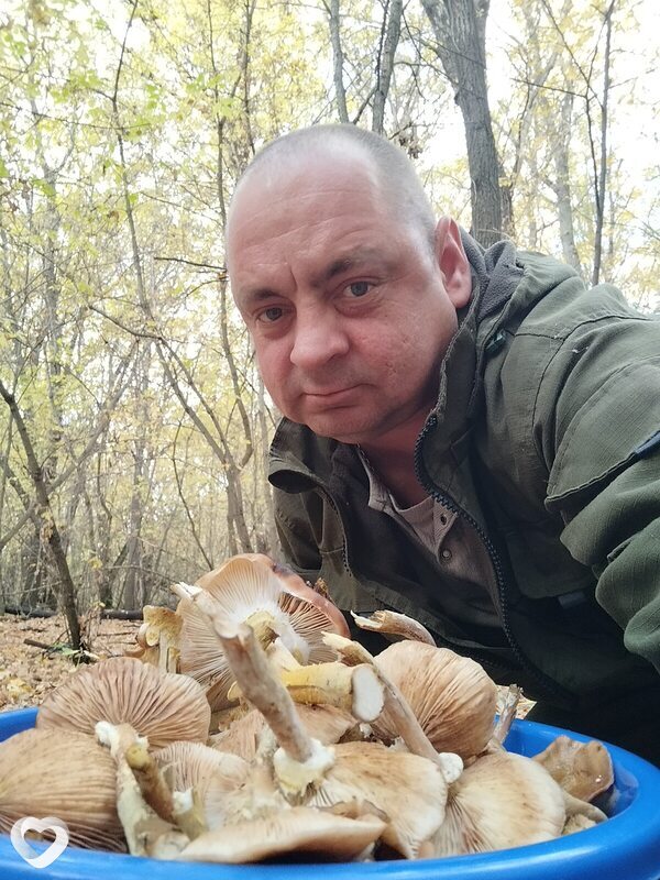Ростик