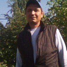 Лев, 46