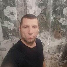 Лев, 45