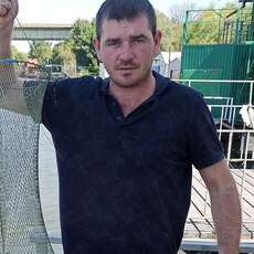 Лев, 32