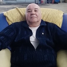 Платон, 62