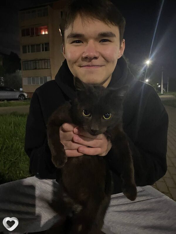 Арсений