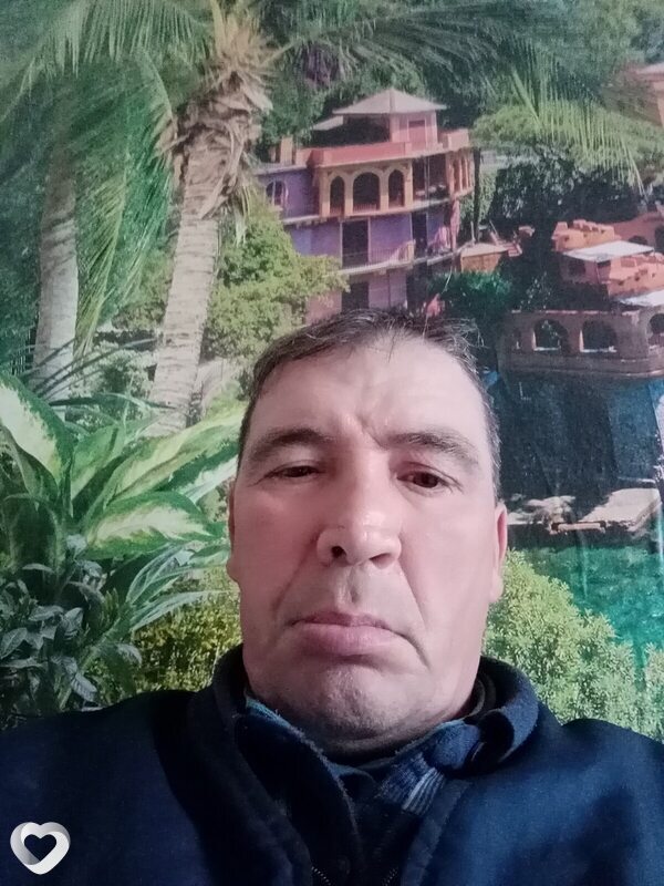 Нестор