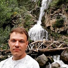 Лев, 33