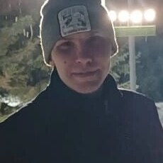 Гаврик, 31